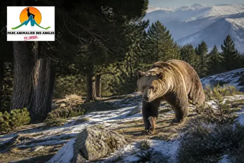 Parc animalier des Angles