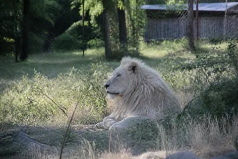 Parc animalier de Casteil