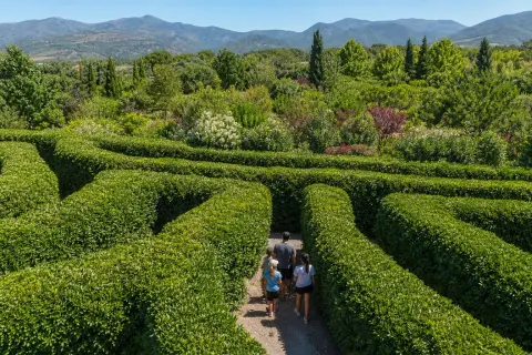 Labyrinthes aux 1000 Fleurs