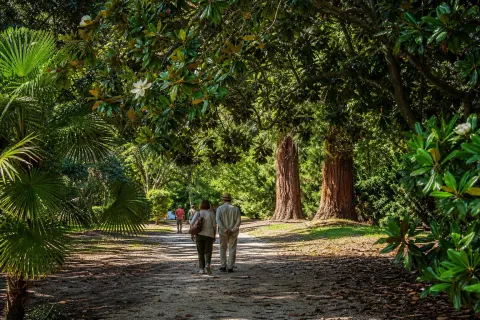 Jardin des Plantes des Capellans