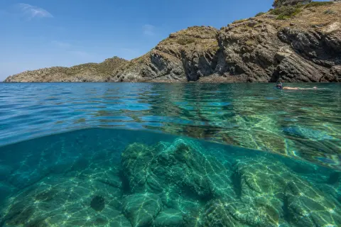 Réserve naturelle marine de Cerbère-Banyuls