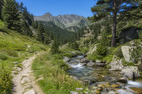 Réserve naturelle nationale de Prats-de-Mollo-la-Preste