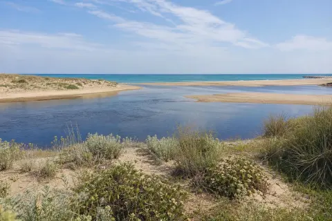 Réserve naturelle nationale du Mas Larrieu