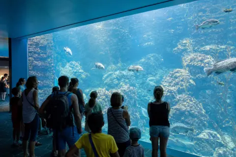 Biodiversarium – aquarium et jardin méditerranéen