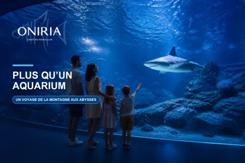 Oniria : aquarium immersif
