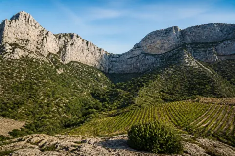 Cirque de Vingrau – balade sous les falaises