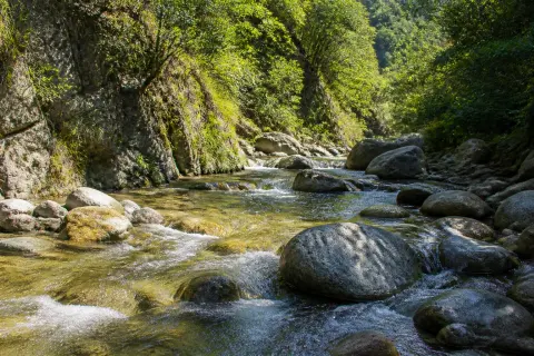 Le Mondony – balade au fil de l’eau