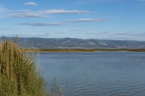 Étang de Salses-Leucate – balade nature