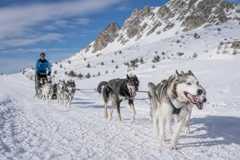 Les Traîneaux de la Vallée des Ours