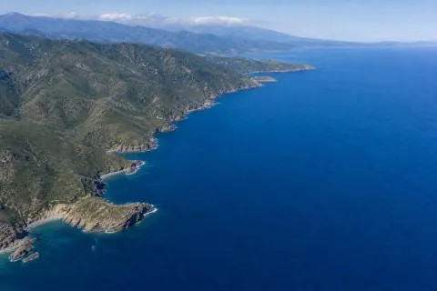 Parc naturel marin du golfe du Lion