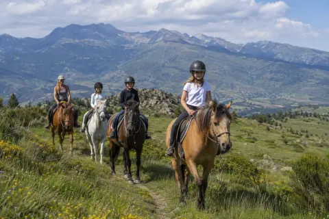 Equi Services Cerdagne – chevaux et ânes