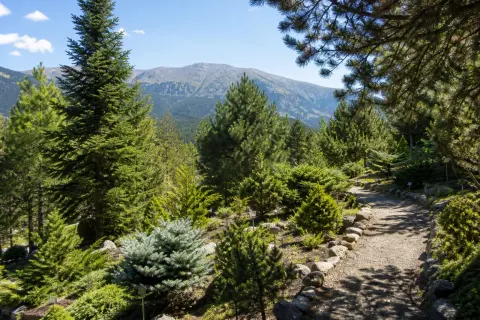Arboretum de Font-Romeu