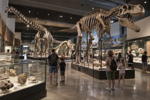 Dinosauria — Musée des Dinosaures d’Espéraza