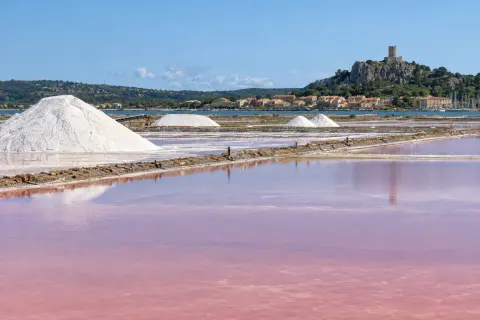 Salin de l’île Saint-Martin