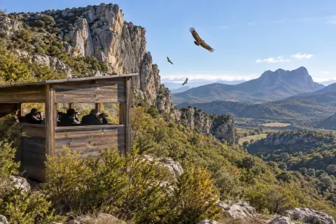 Observatoire des Vautours de Bugarach