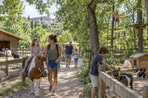 Le Petit Paradou — poneys, mini-ferme et parc aventure