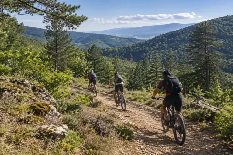 Location de VTT en Montagne Noire