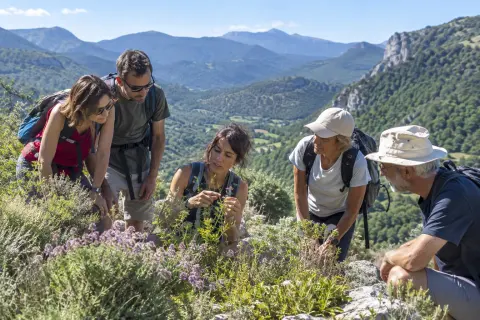 Romain Figorito — Trace Nature à Puivert