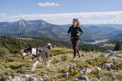 Doggysport 85 — activités avec chiens à Camurac