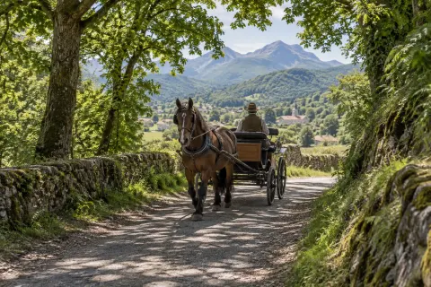 Balade en calèche
