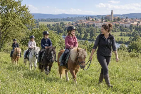 Le poney vert