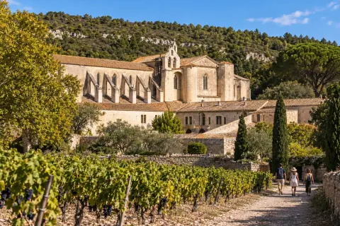 Abbaye Sainte-Marie de Valmagne