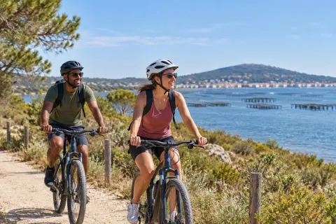 Fisheira Bike — location de vélos