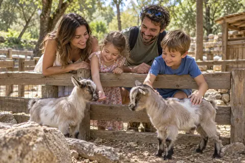 Le Petit Paradis de Vendargues