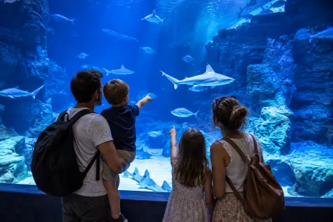 Planet Ocean Montpellier